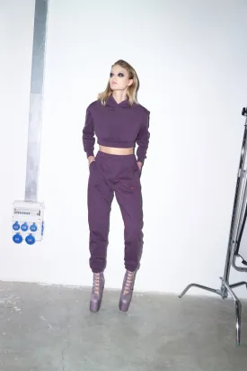 Felix Rhinestone Cropped Hoodie